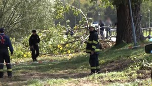 Silný vietor v Nitre si vyžiadal obete: Mesto tvrdí, že na zlý stav stromu, ktorý zabil chlapca, upozorňovali dávno