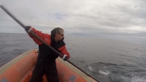 Paradox života. Roky zachraňoval veľryby a nakoniec ho jedna zabila