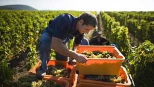 Tokaj je slovenský, Maďari so žalobou nepochodili
