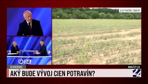 Analýzy 24 aj o tom, či nás v lete čaká zdražovanie potravín