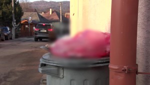 Obyvateľka nosí pred obecný úrad mŕtve zvieratá. Tvrdí, že len upratuje dedinu