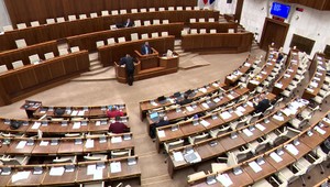Parlament aj vláda sa ocitli v polohe mŕtveho chrobáka: Reformy neprechádzajú a zatiaľ sa najmä reční