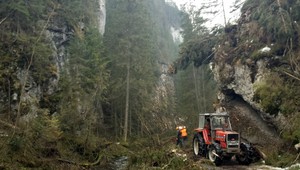 FOTOGALÉRIA. Víchrica pustošila Vysoké Tatry