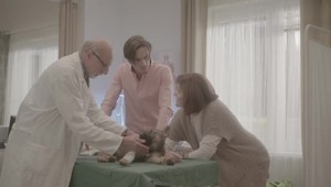 Zúfalý Andrej naďalej hľadá Mauglího: Zranené vĺča nájde v ostnatom kroví!