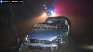 Smrteľná nehoda pri Nitre: Pád do priekopy a náraz do stromu neprežili dvaja ľudia