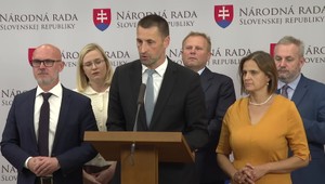 Tlačová beseda SaS o návrhoch ku konsolidácii