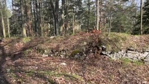 Zlodeji pokladov zarábajú na čiernom trhu a ničia prácu archeológom