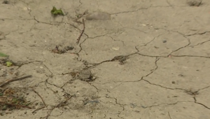 Rok 2022 bol nadpriemerne horúci: Trápilo nás najmä sucho, zásoby vody v pôde sa míňali a vysychali aj korytá riek