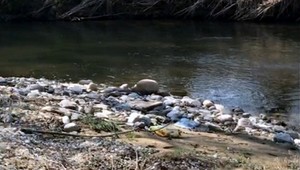 Malé dieťa sa utopilo v potoku, matke po ňom ostala len hračka