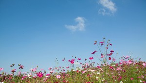 Ráno poklesli teploty nepríjemne nízko, juhozápad si cez deň teplotne uletí