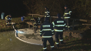 Masívny úhyn rýb vyvolal zásah inšpekcie aj okamžitý zákaz lovu