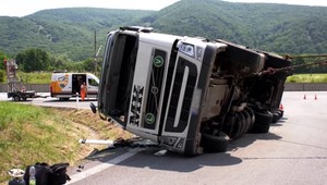 Za nehodu kamiónu vraj môže hmyz