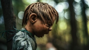 Fotograf objavil desivé miesto v nemeckom lese