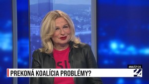 Analýzy 24 o príplatkoch za energie