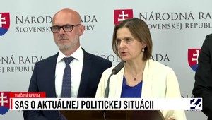 Tlačová beseda strany SaS k aktuálnej politickej situácii