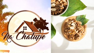 Milujete sladké? TENTO koláč si môžete dopriať bez výčitiek, neobsahuje múku ani cukor!