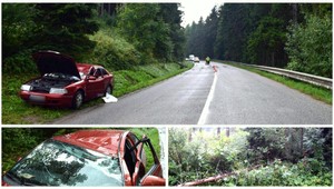 Vyvrátený strom spadol počas búrky na idúce auto