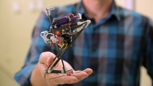 Roztomilý robot Salto by jedného dňa mohol zachraňovať ľudské životy