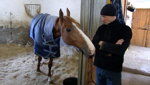 Veľká pardubická už v sobotu. Po 16 rokoch aj slovenský kôň