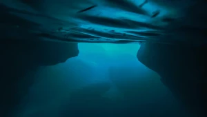 Desivý objav na dne oceánu ohromil vedcov