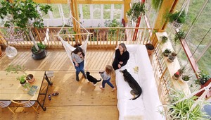 Bizarný pokus: Rodina sa na tri roky nasťahovala do obrieho skleníka