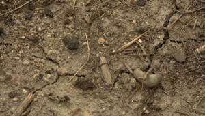 Suchá a nedostatok zrážok spôsobujú v obci problém s pitnou vodou. Netečie už tri dni