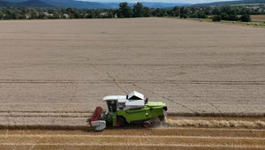 Počasie trápi farmárov: Dažde brzdia kombajny a obilie stráca kvalitu