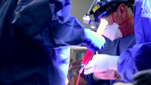 Fantastická správa: Implantát rohovky vyrobený z prasacej kože vrátil zrak 20 ľuďom