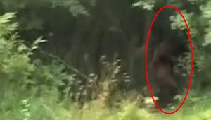 Ďalší dôkaz existencie yetiho! Vystrašil dievčinu v bikinách