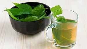 Žihľava je kráľovnou medzi jarnými bylinkami: Aké má účinky?