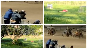 Sex na verejnosti. Hrozí vám hanba aj pokuta