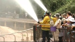 Hasiči chladia slony. Tie sa predvádzajú