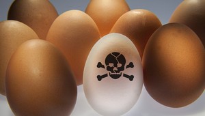 Vo vajciach inšpekcia opäť našla škodlivý fipronil