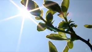 Iba štvorročné dievčatko zabudli v rozhorúčenom mikrobuse. Lekárom sa ho nepodarilo zachrániť