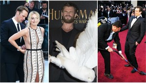 Najväčšie trapasy hviezd na červenom koberci: Pripravte sa na veľa pádov!