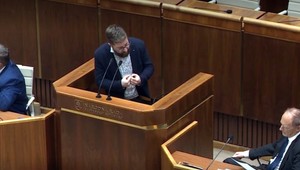 Istanbulskému dohovoru zrejme u nás odzvonilo. Európsky parlament, ale vyzýva Slovensko, aby ho urýchlene prijalo