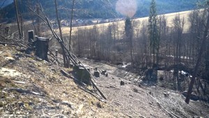 Zo svahu zmizlo 200 stromov. Miestni tvrdia, že za to môže nájomca štátnych pozemkov
