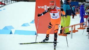 Fantázia! Fialková so striebrom z hromadného štartu