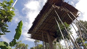 Ako žije posledný kmeň kanibalov na svete? Tomu neuveríte!