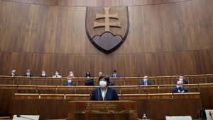 Prezidentka sa postavila za ombudsmanku. Veľká časť poslancov roky ignorovala tieto zistenia, vyhlásila Čaputová