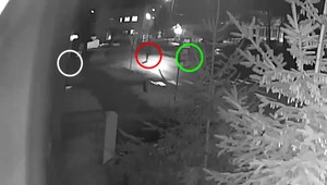 Cieľom pokusu je zistiť, či mohol niekto vražde zabrániť