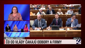 Analýzy 24 so zástupcami Tripartity