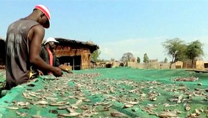 Záchrana v chudobnom Malawi. Pomáha obyčajná sušička