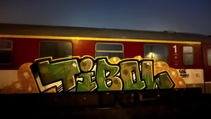 Bratislavskí policajti zadržali sprejerku priamo pri čine, poškodila vlak