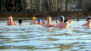 Obliekli si plavky a skočili do vody. Ľadové medvede oslavovali Vianoce