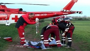 Padajúci strom zasiahol mladého piliara