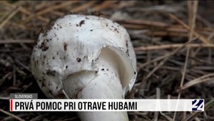 Rozhovor so záchranárom o tom, čo robiť pri otrave hubami