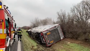 Na diaľnici sa prevrátilo nákladné auto s býkmi