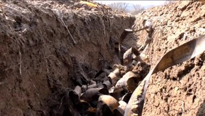 Káble kradli veďla cesty niekoľko mesiacov. Zlodejov si nikto pri zločine nevšímal