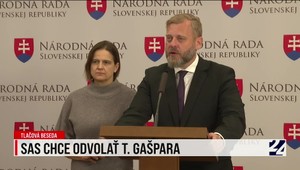 SaS chce odvolať T. Gašpara